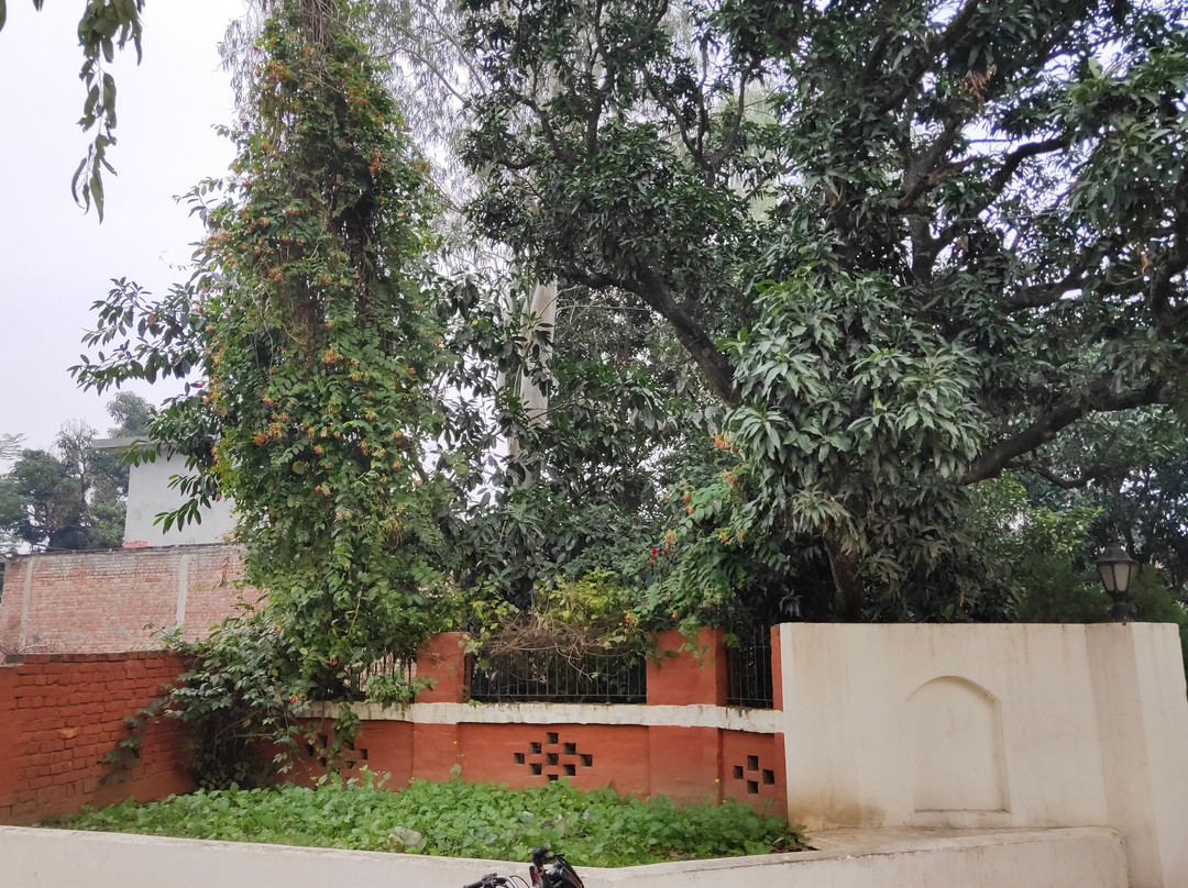 The Kothi Village Stay主图