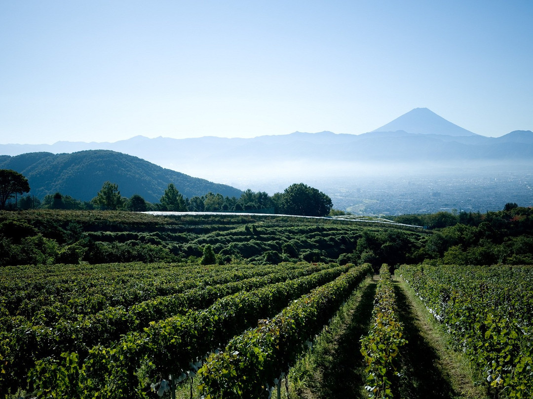 Suntory Tominooka Winery景点图片