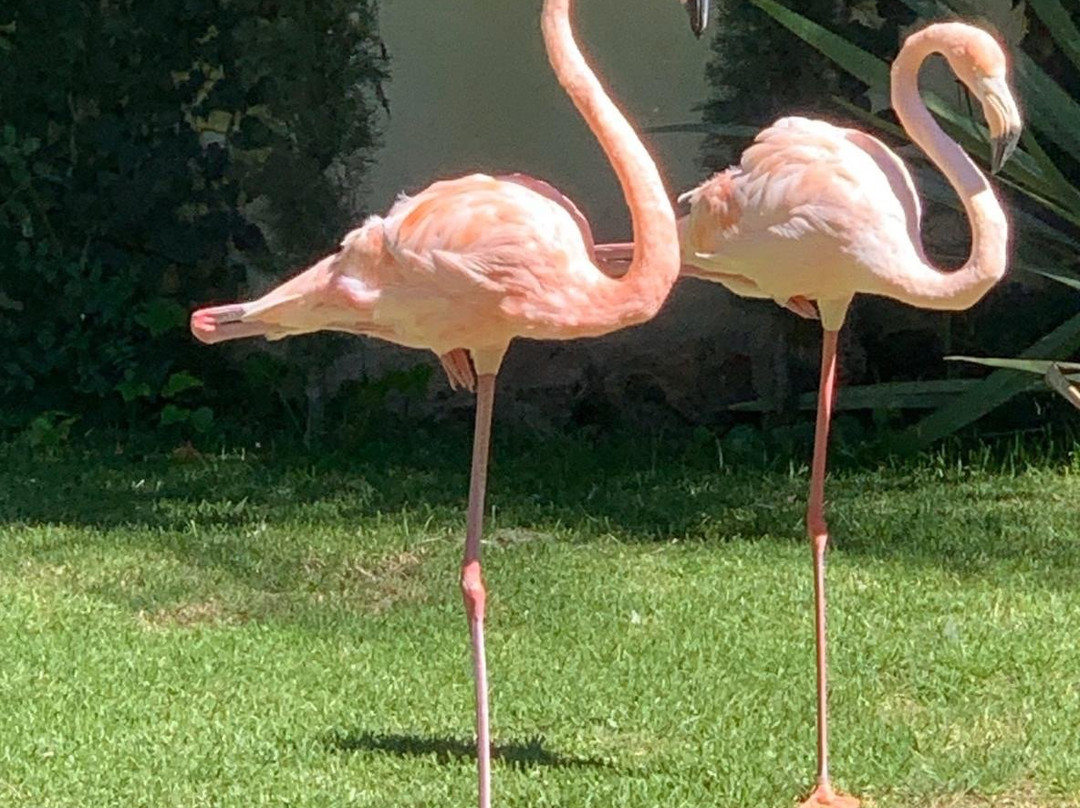 Hotel Villa Florencia主图