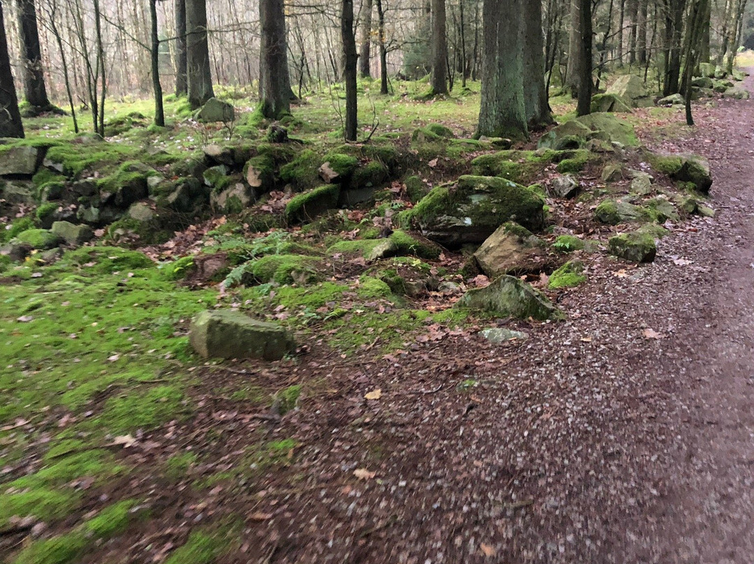 Skrylle Nature reserve-隆德必去景点