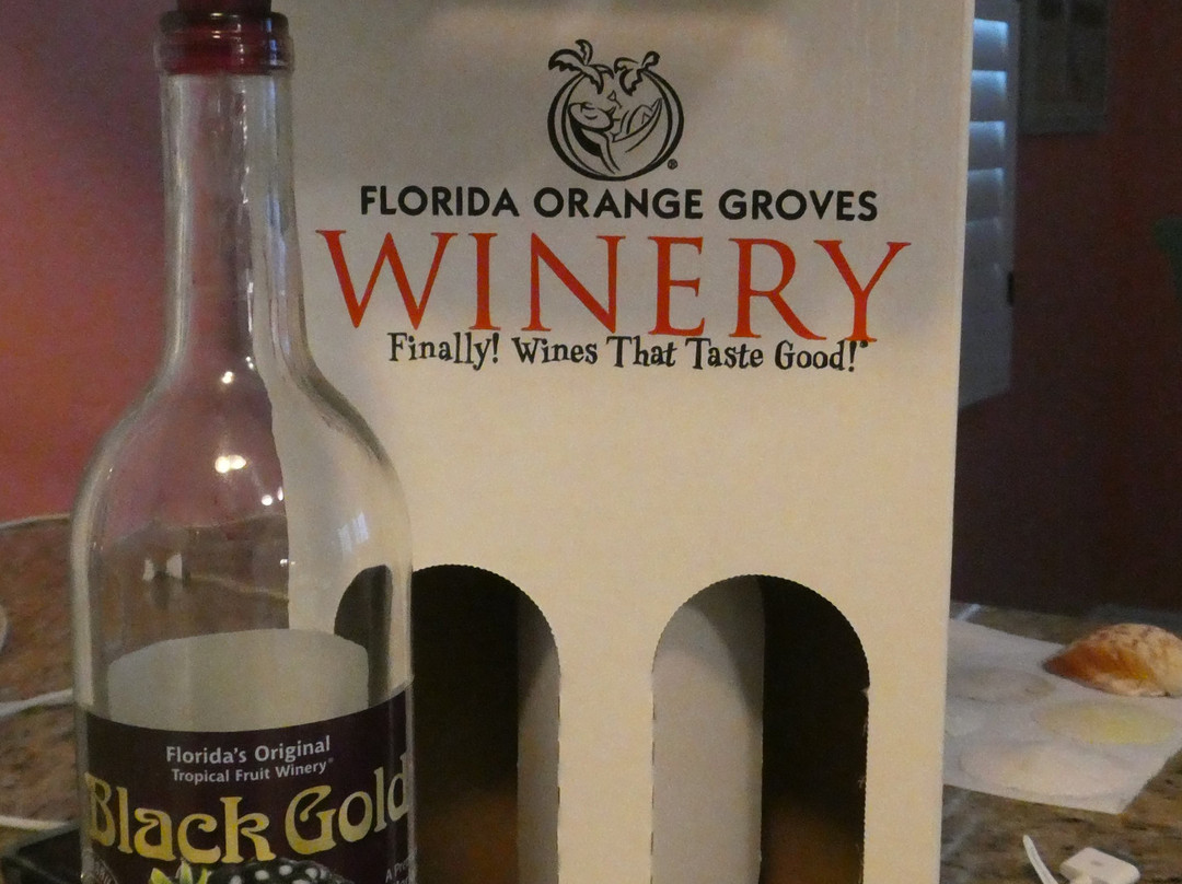 Florida Orange Groves and Winery景点图片