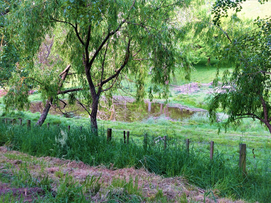 Te Mata Park景点图片