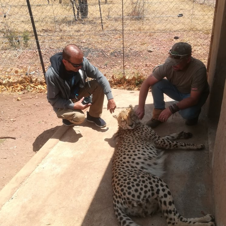 Pilanesberg National Park-太阳城必去景点