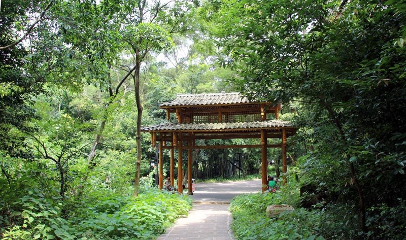 大龙潭风景区景点图片