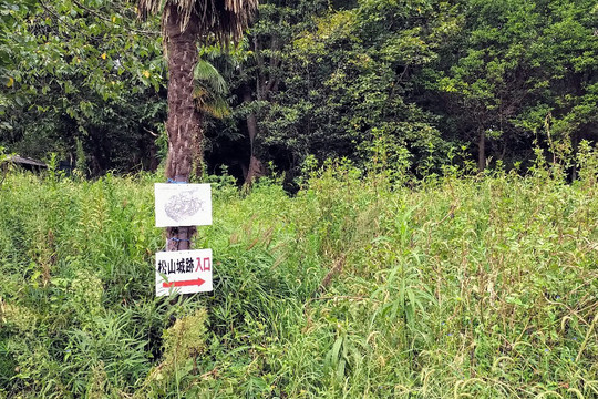 Ruins of Matsuyama Castle-吉见町必去景点