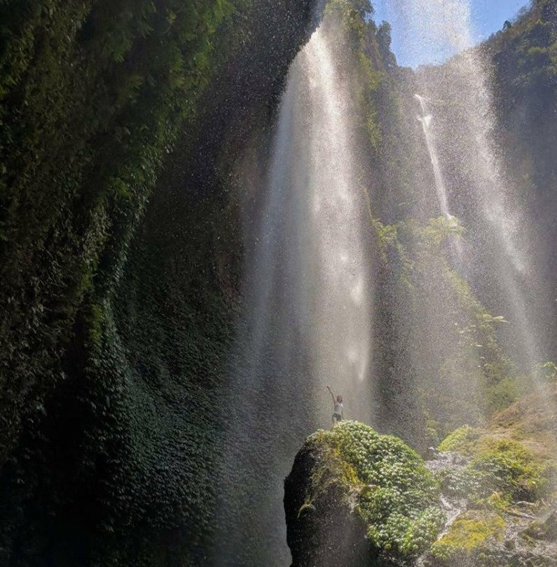 Java Exotica Tour - Day Tour景点图片