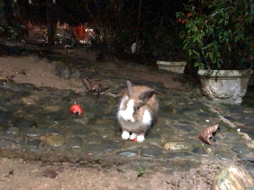 Posadas Ecoturisticas Seineken主图