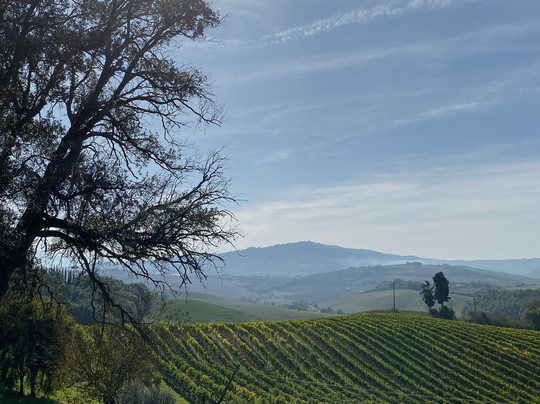 Select Tasting-蒙塔尔奇诺必去景点