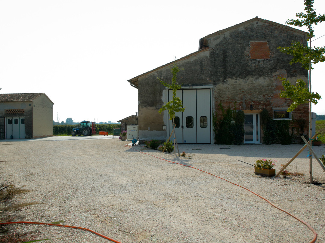 Azienda Agricola Bugno Martino景点图片