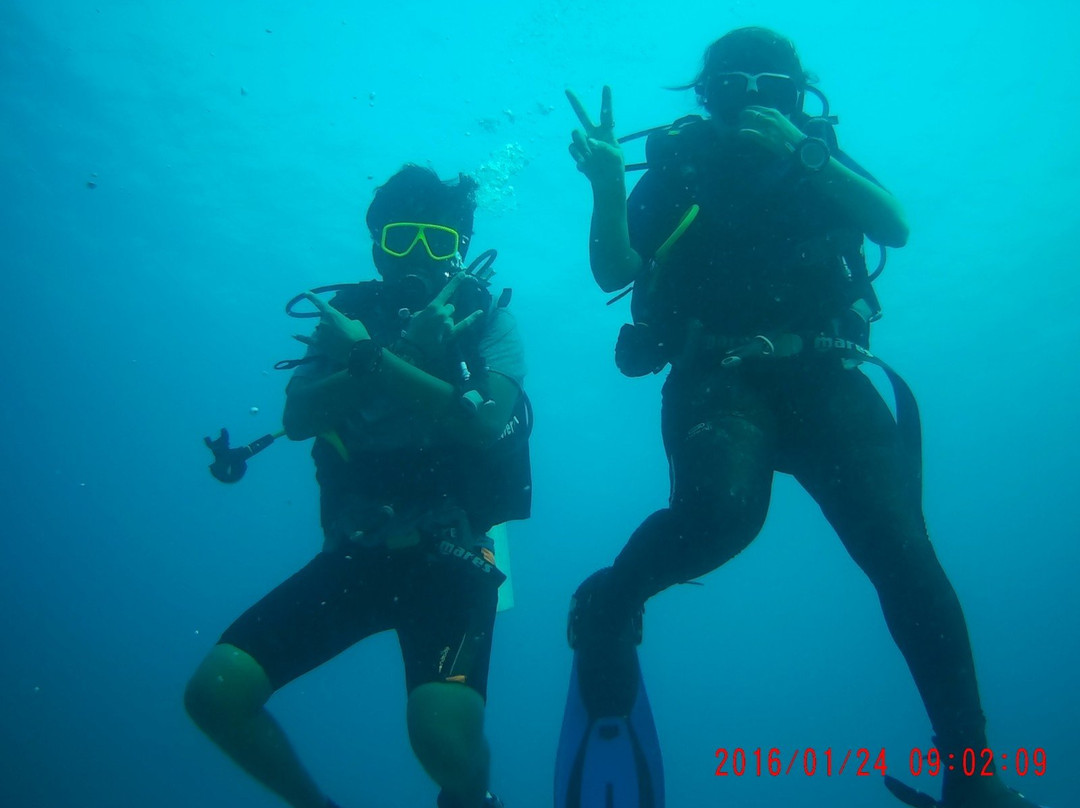 Scuba Yogi景点图片