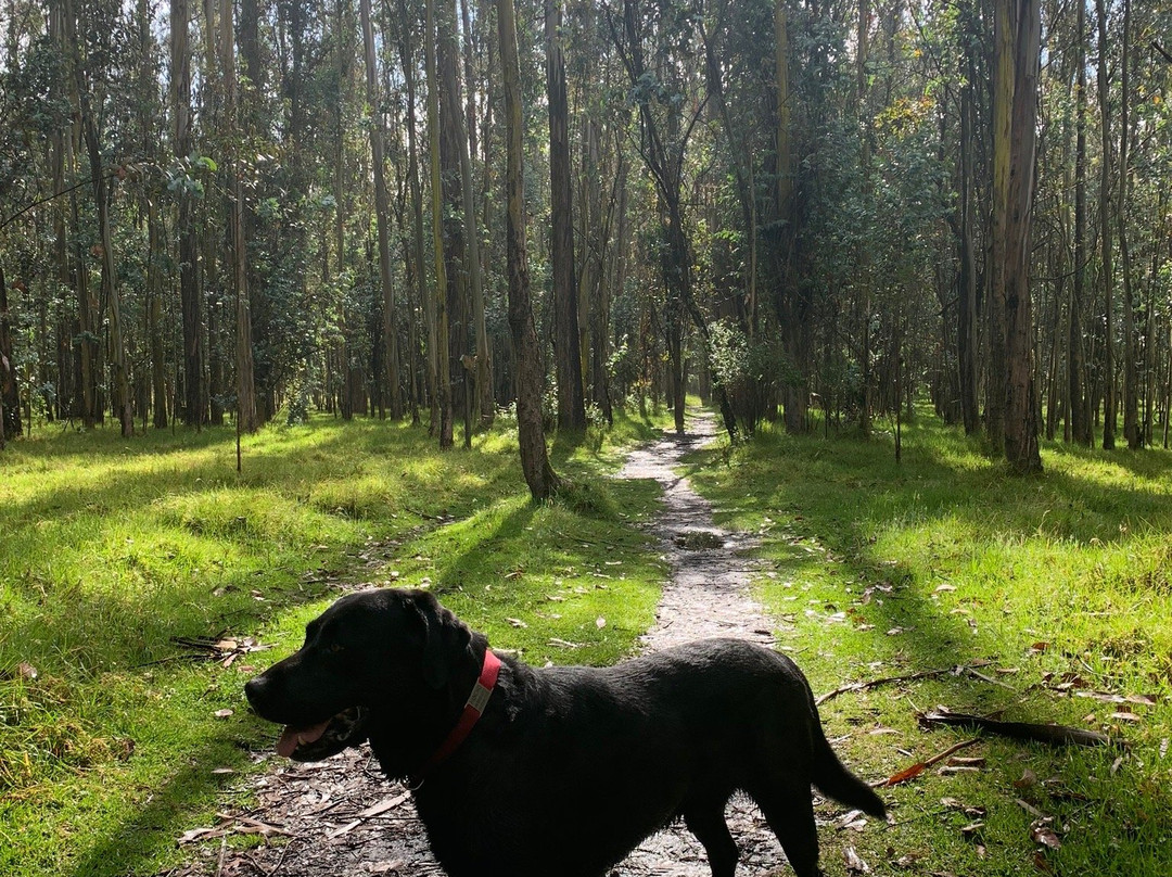 大都会公园-基多必去景点