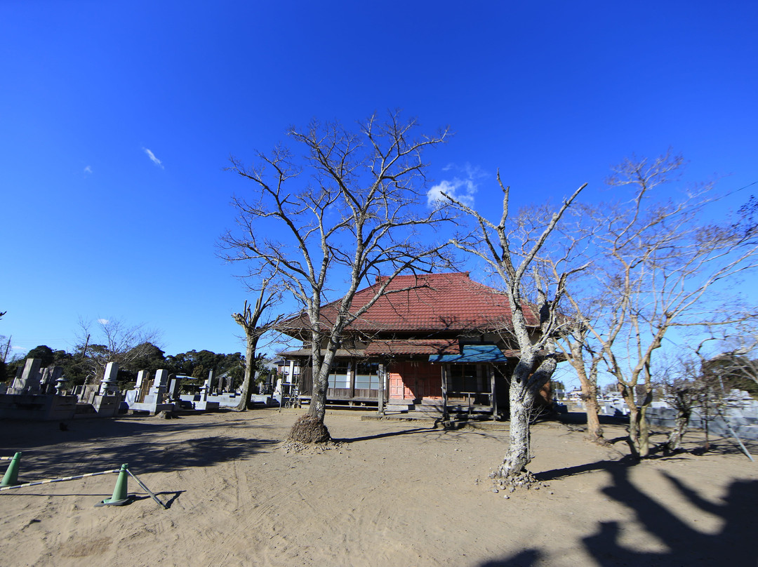 Enryu-ji Temple景点图片