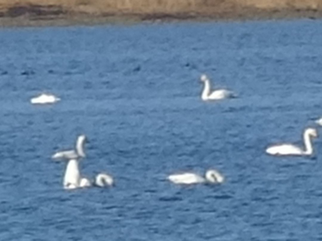 Komuke Lake-纹别市必去景点