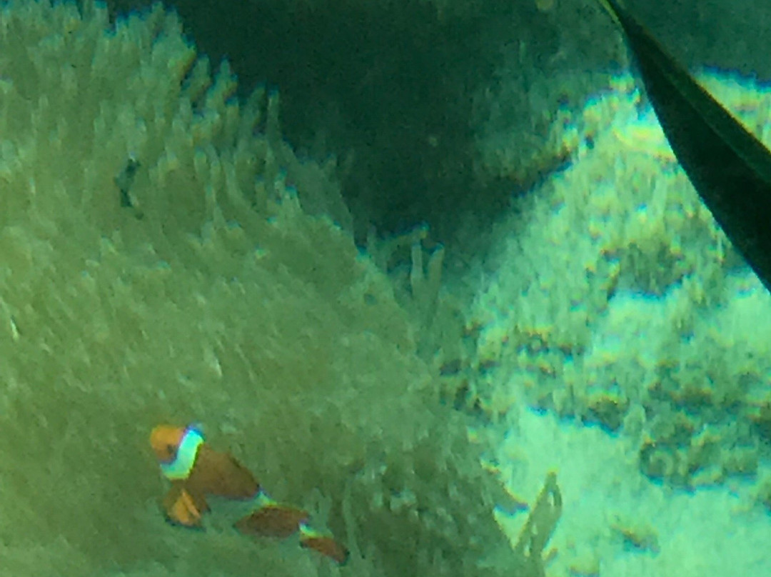 Ojima Island-南城市必去景点