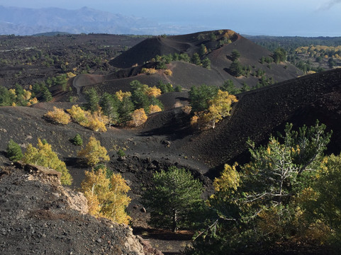 Legendary Sicily-陶尔米纳必去景点