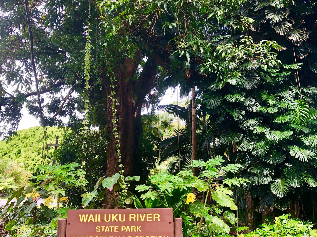 瓦伊鲁库河州立公园景点图片