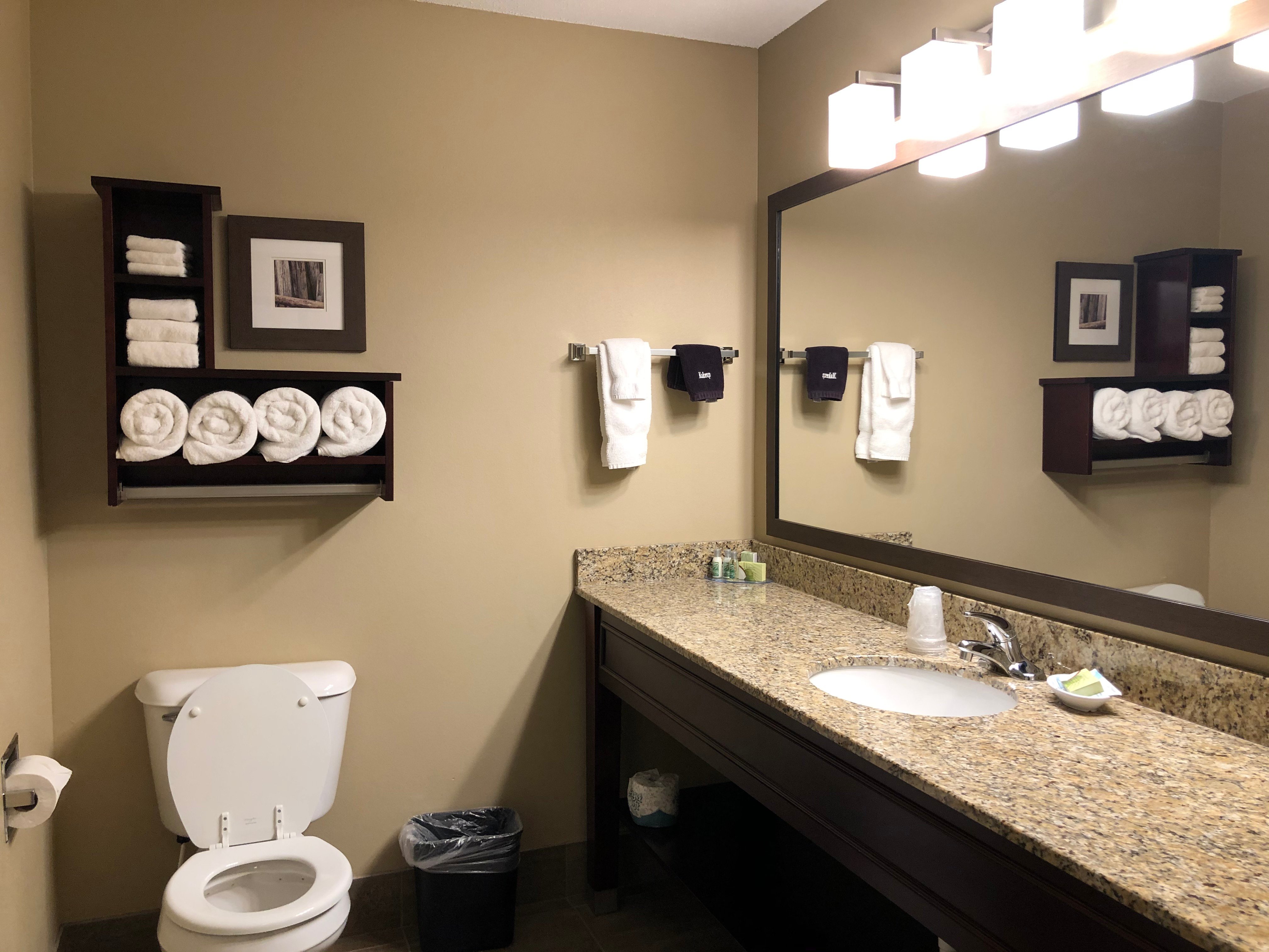 GrandStay Hotel & Suites Glenwood-浴室