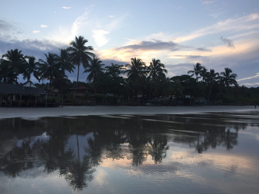 Sul Beach-Ilheus必去景点