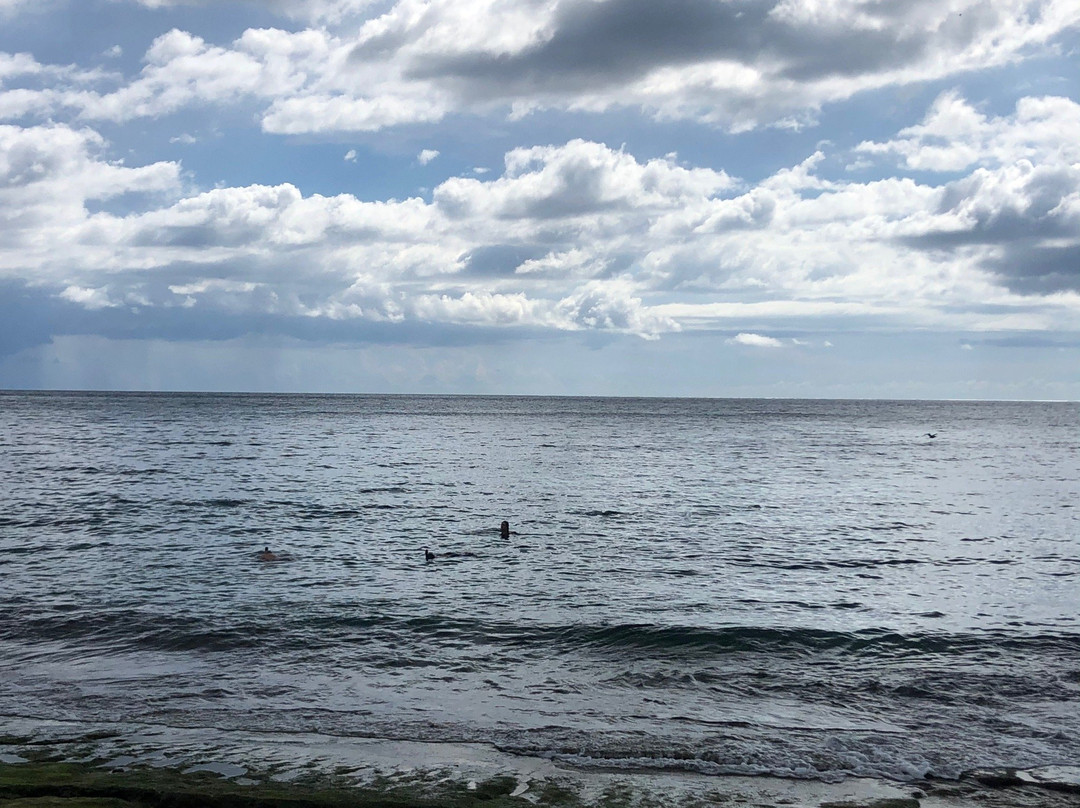 Tres Palmas Marine Reserve景点图片