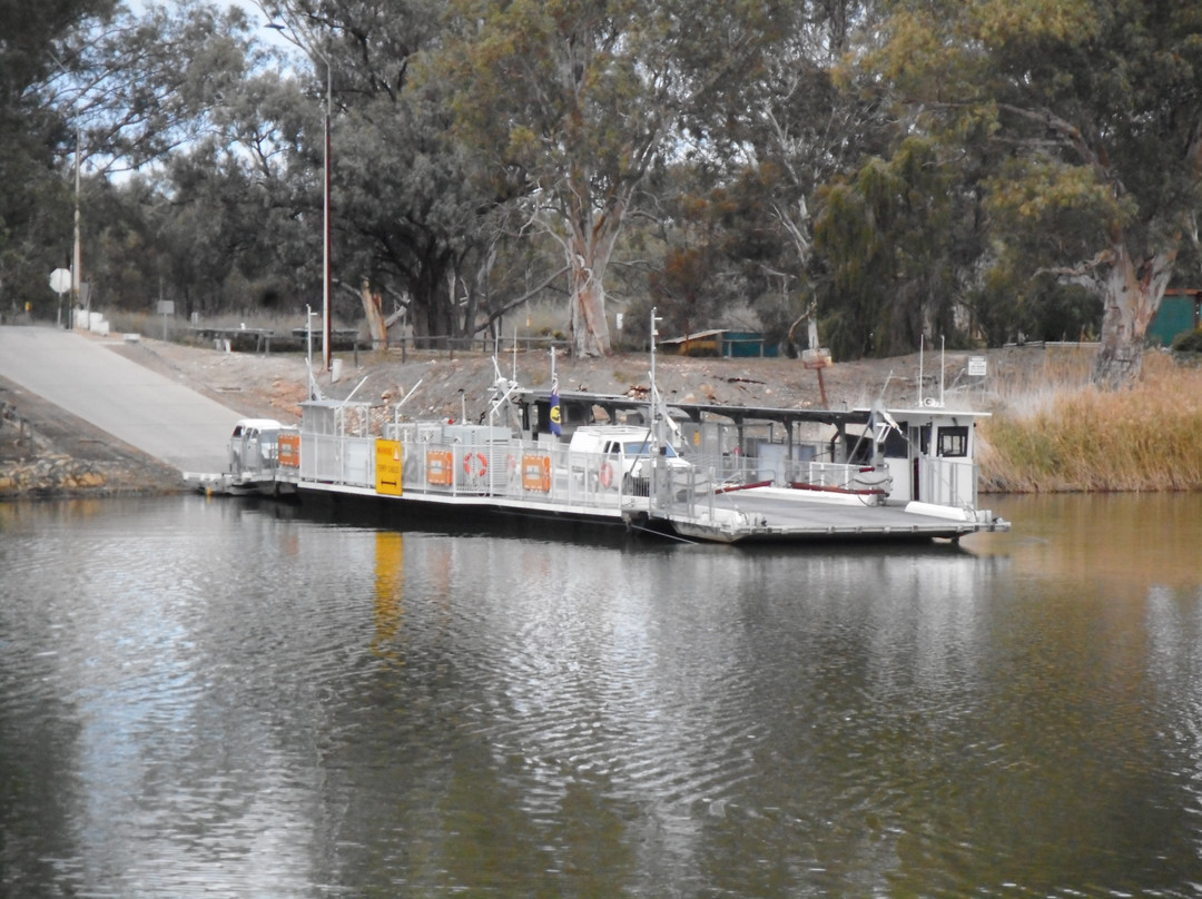 River Murray Ferries景点图片