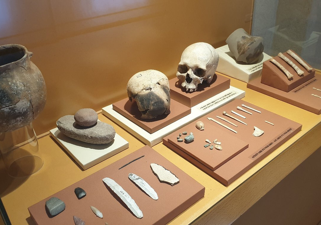 Museu Arqueologic Municipal Camil Visedo Molto景点图片