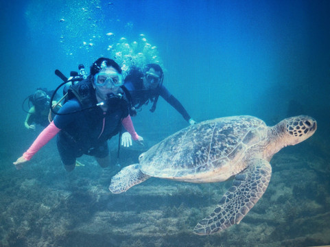 Mar De Noronha-费尔南多-迪诺罗尼亚群岛必去景点