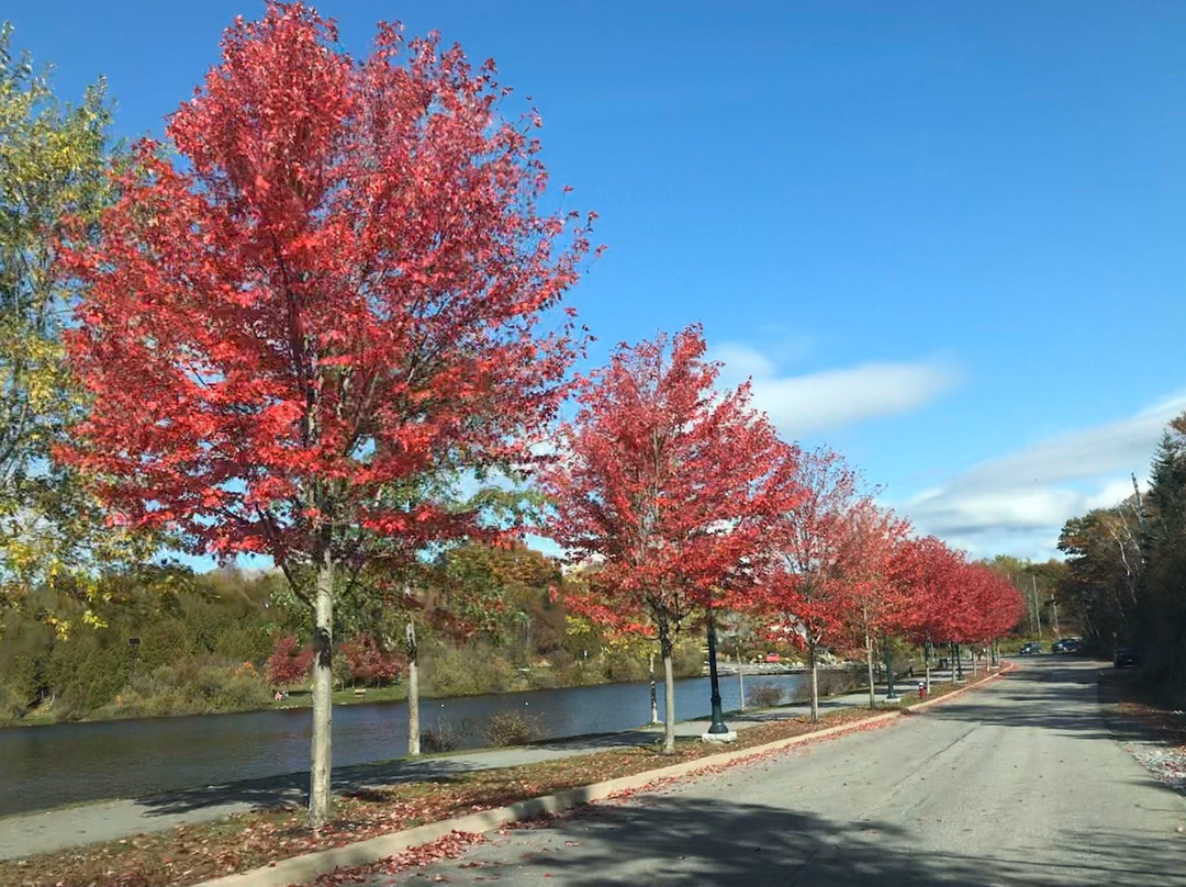 Rockwood Park景点图片