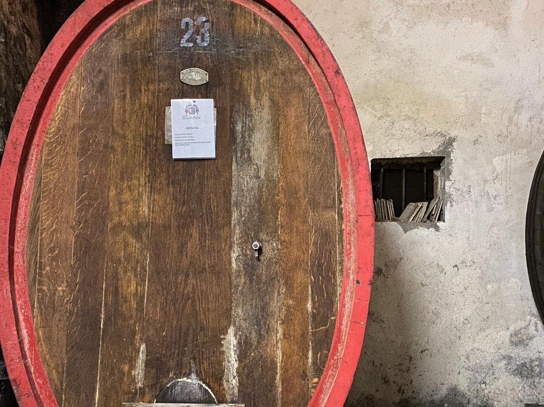Azienda Agricola Padelletti-蒙塔尔奇诺必去景点