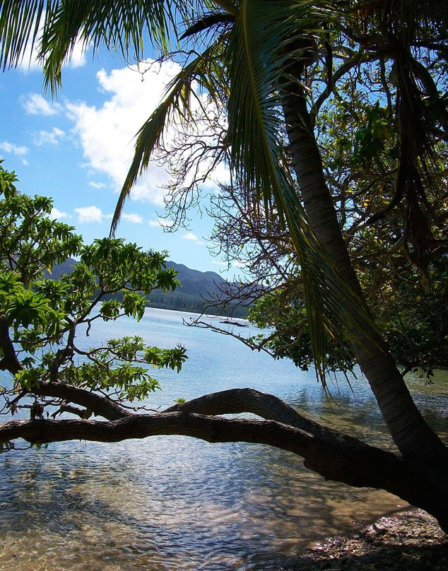 Kanua Tera Ecolodge主图