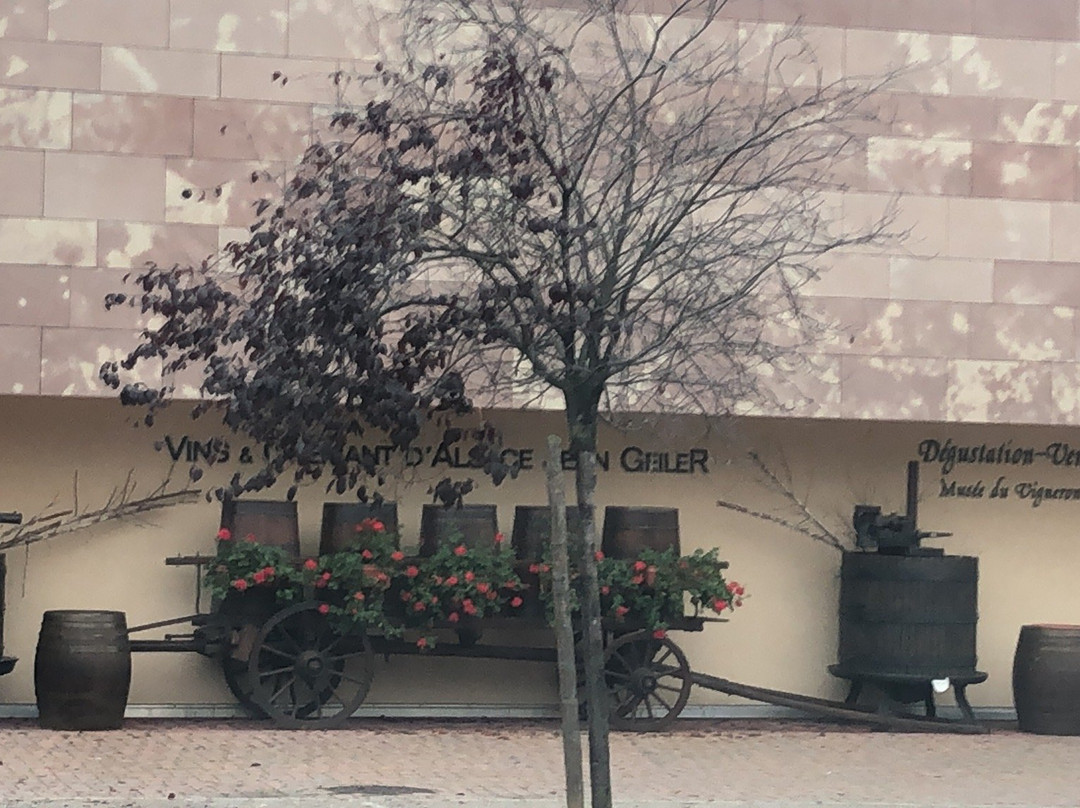 Vignoble Jean Geiler景点图片
