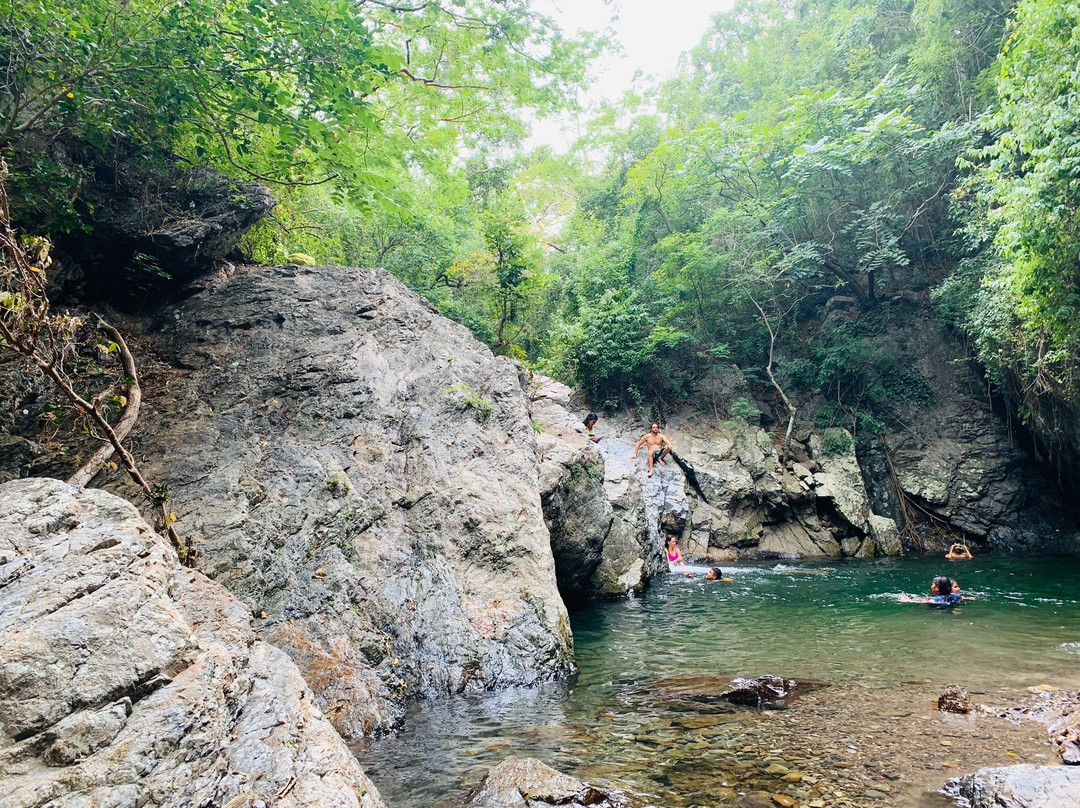 Cocodrilario La Manzanilla景点图片