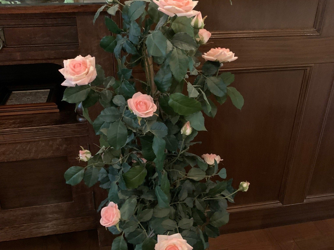 Hotel de Yatsugatake Terrasse主图