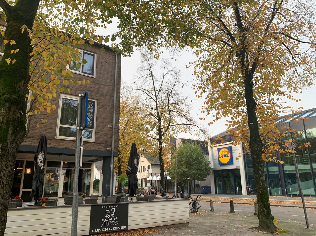 Hotel Restaurant de Jonge Heertjes主图