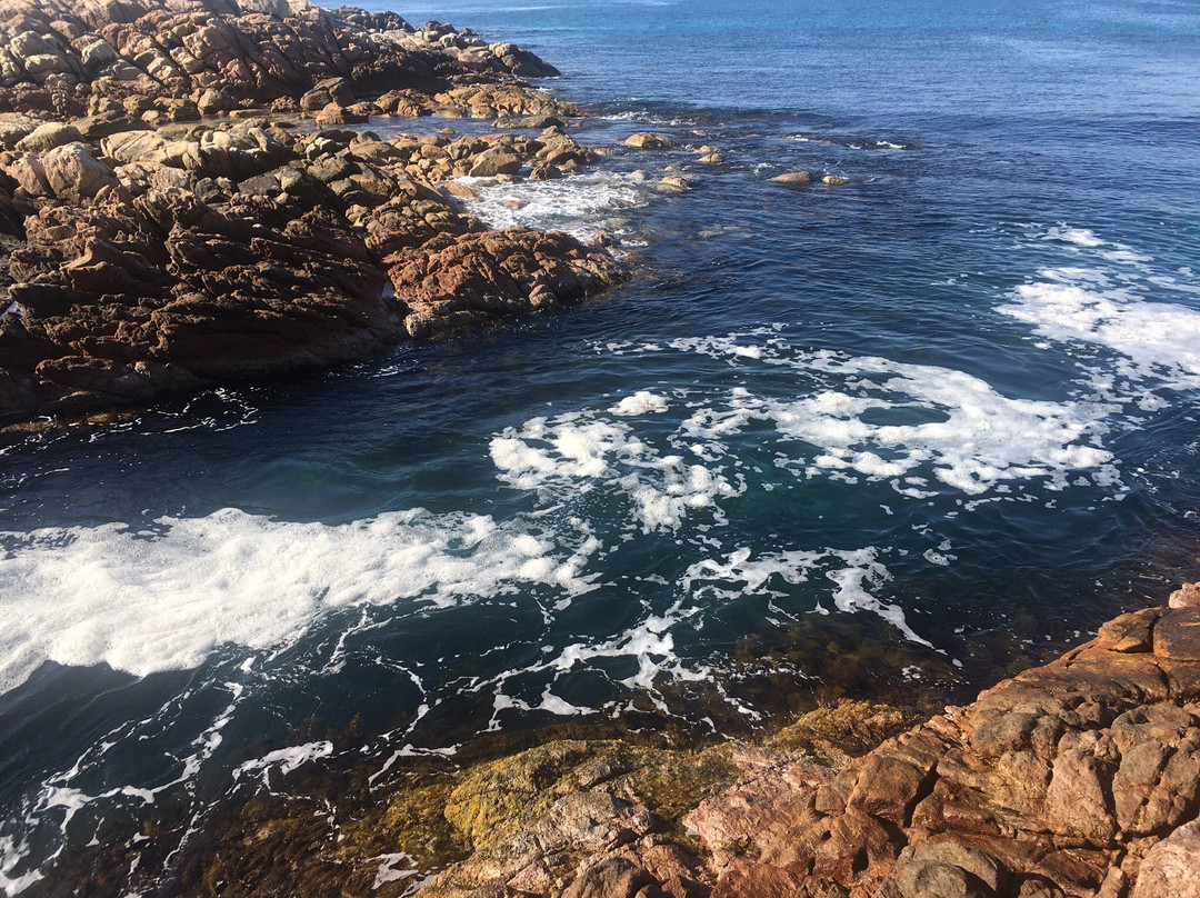Indi Ocean Views