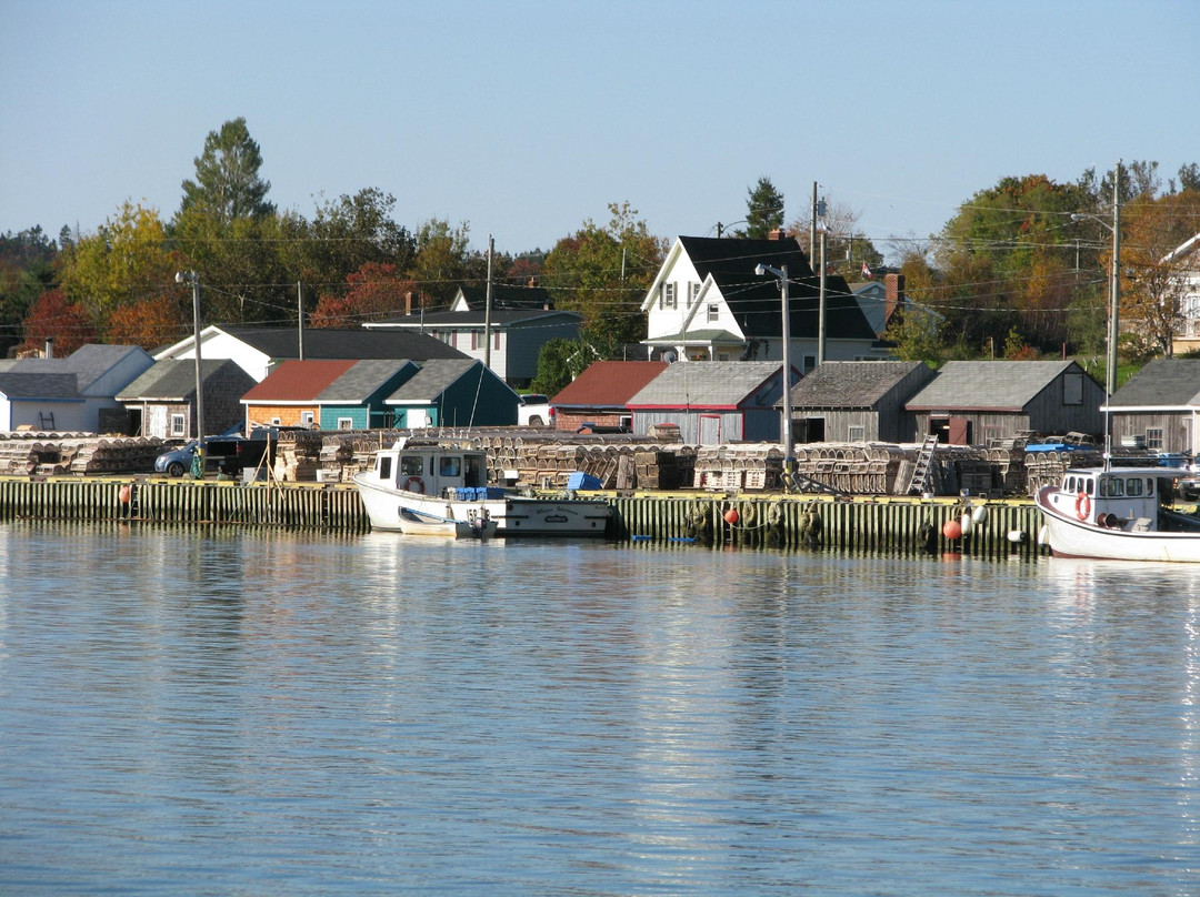 Fair Island Tours景点图片