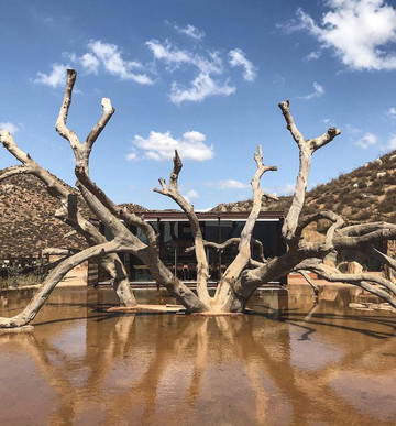 Exia-恩塞纳达必去景点