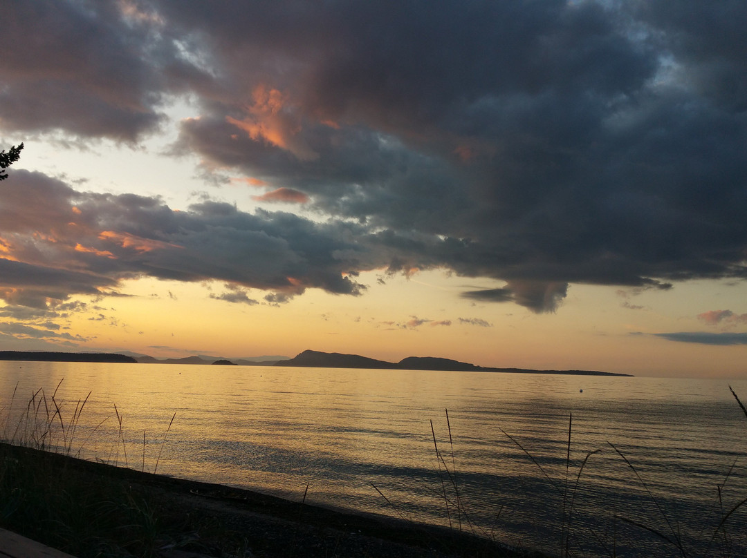 Matia Island State Park景点图片