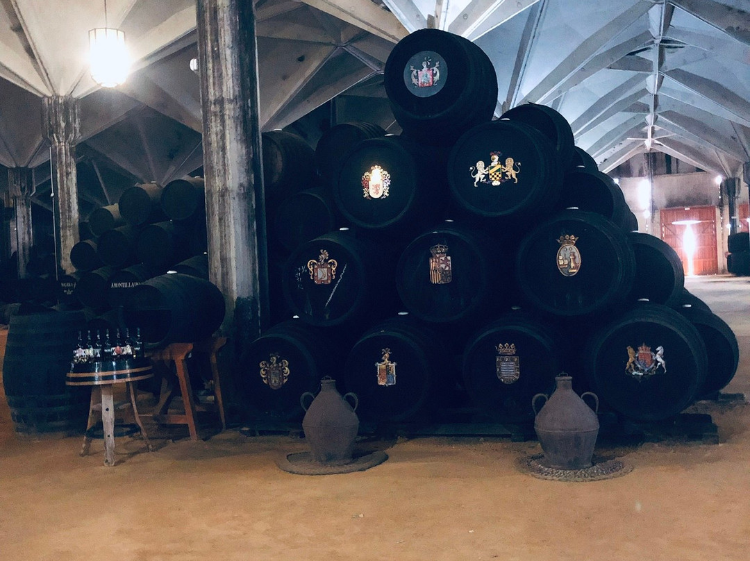 Bodegas Williams & Humbert景点图片