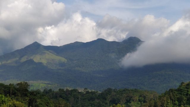 Planet Green Plantation Resort-酒店景观