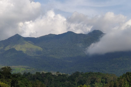 Planet Green Plantation Resort主图