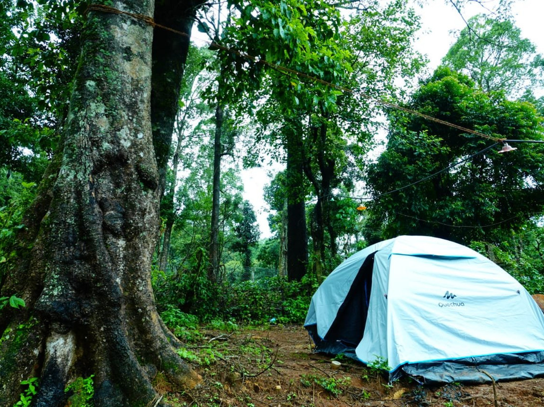 Nelliyampathy Tent Camp
