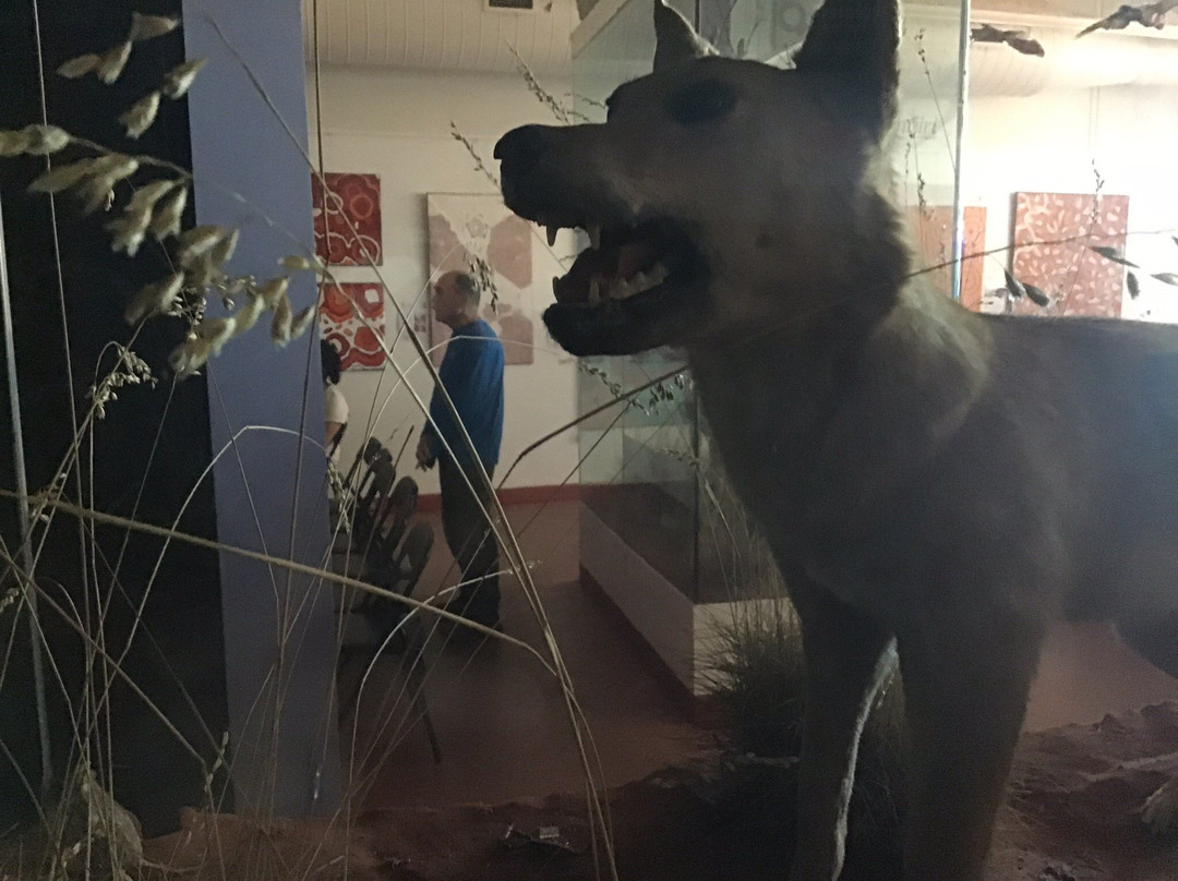 Gallery of Central Australia-尤拉拉必去景点