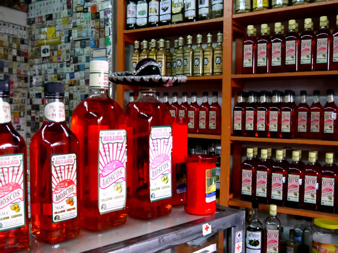 San Miguel Zinacantepec旅游景点-La Miniatura