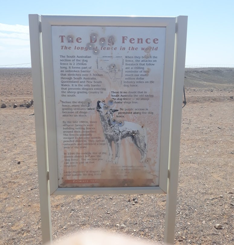 Dog Fence-库伯佩迪必去景点