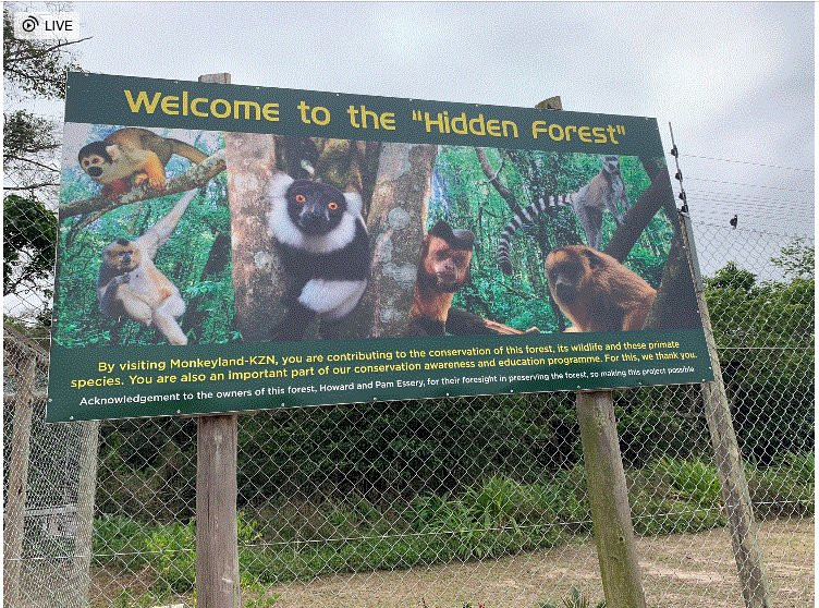 The Hidden Forest Wildlife Sanctuary景点图片