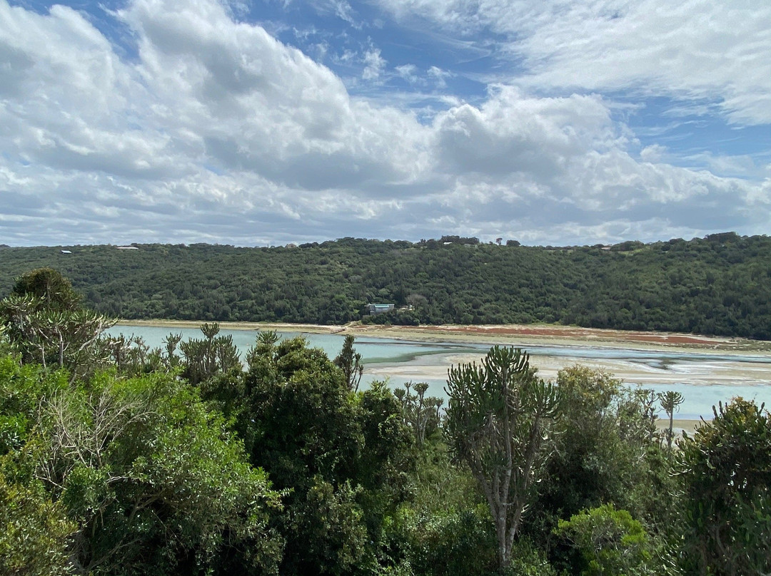 Makarios on the River主图