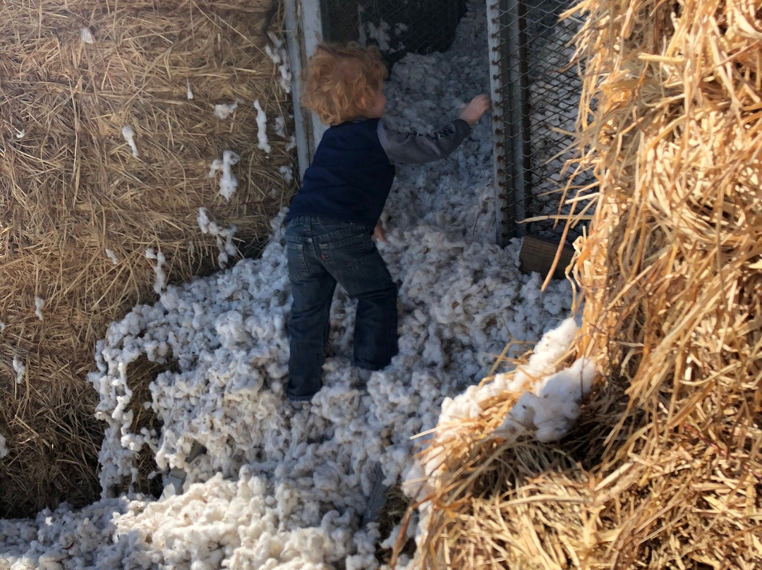 Darden's Country Store-Smithfield必去景点