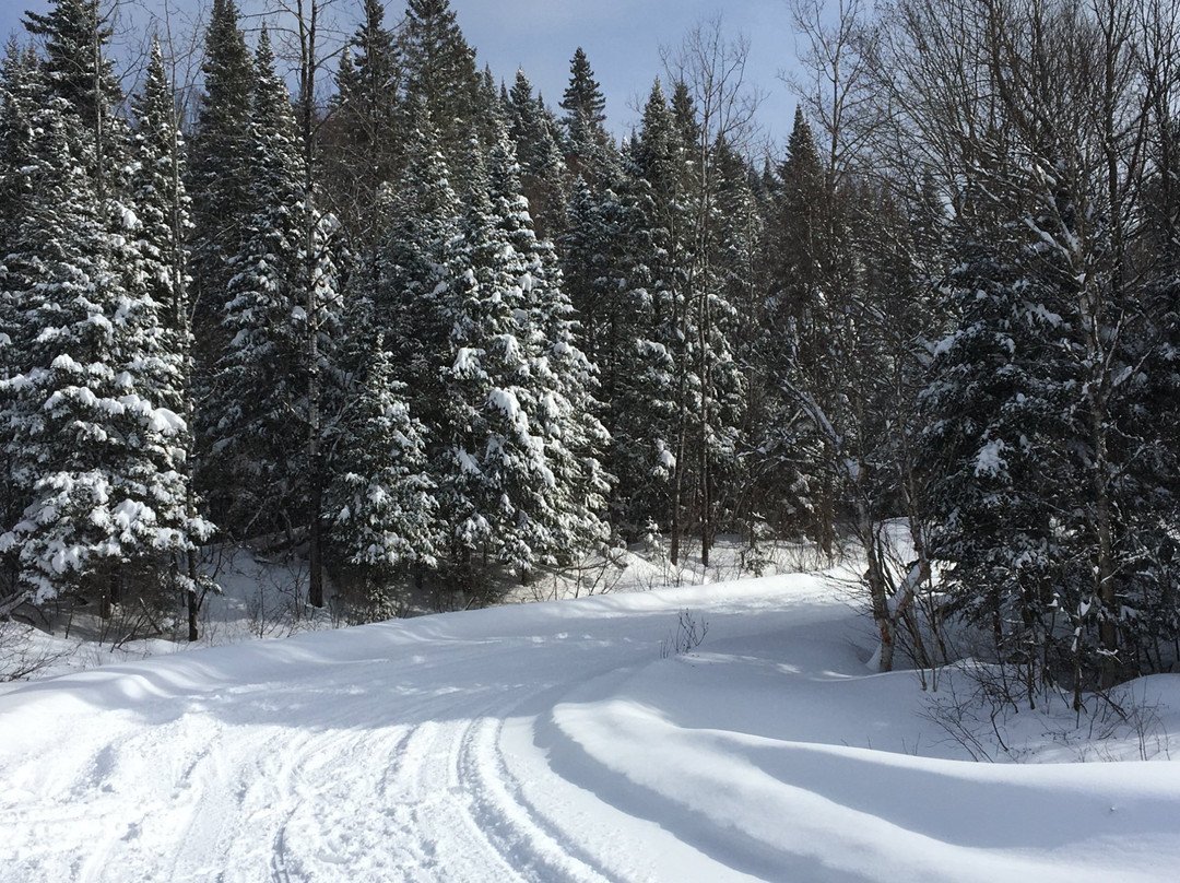 Northern NH Snowmobile Tours-Pittsburg必去景点