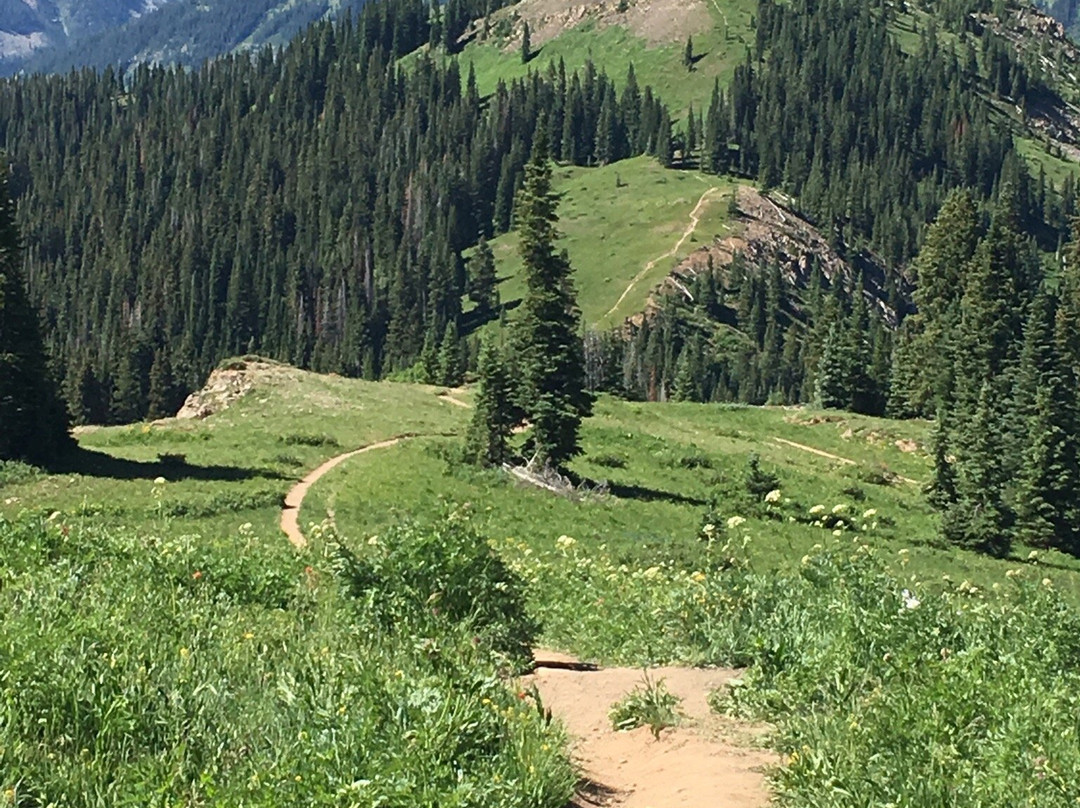 Alpenglow Rentals-克雷斯特德比特必去景点