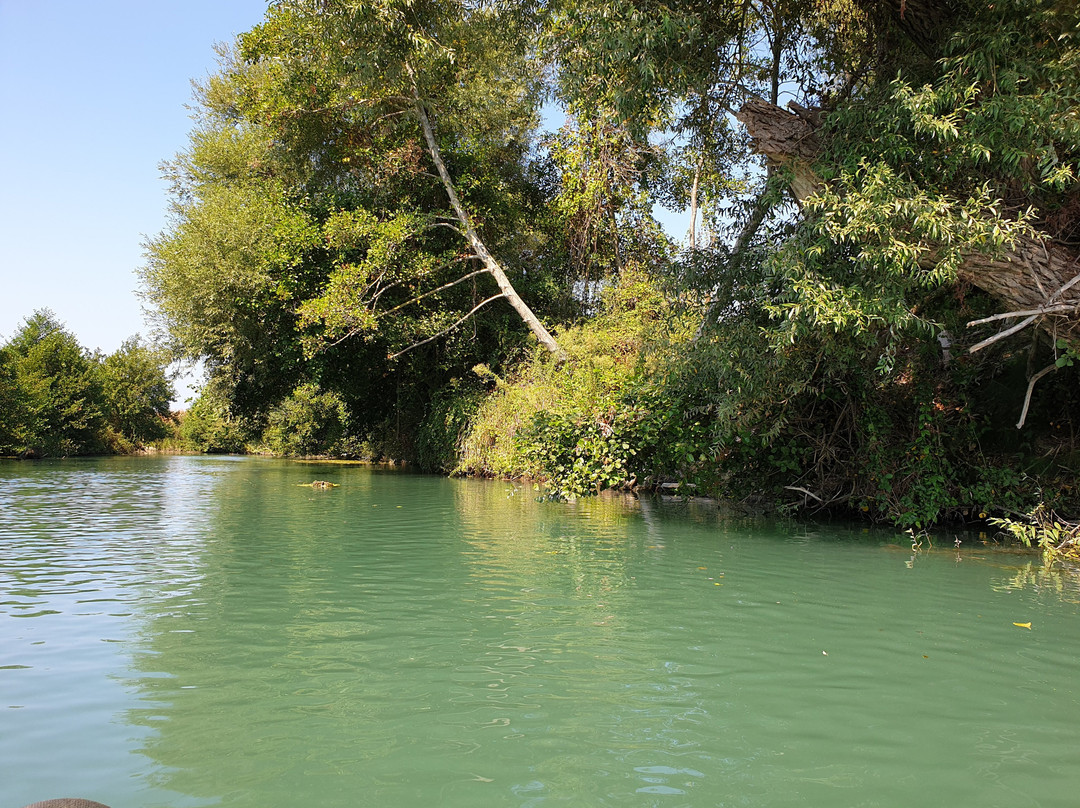Acheron Delta Kayaking Eco Tours-Ammoudia必去景点